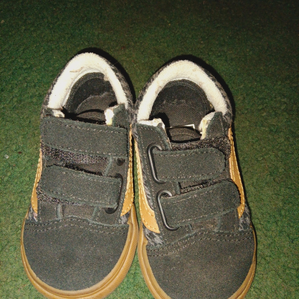 Kids vans
